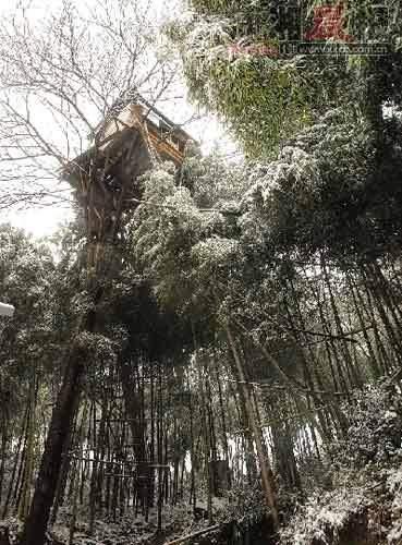 老農(nóng)15米高樹上建木屋 網(wǎng)友擔心被強拆(組圖) 