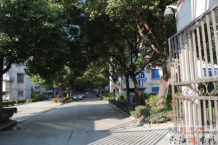 X教師新村
