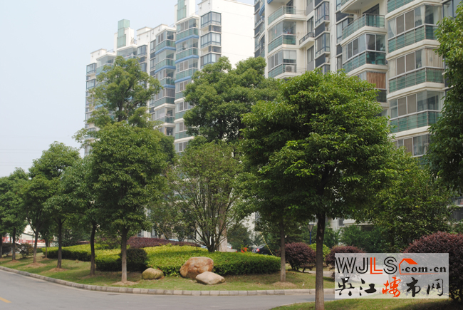 點(diǎn)擊圖片放大 實(shí)景6