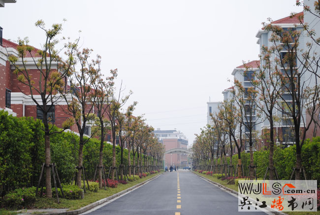 點擊圖片放大 實景6
