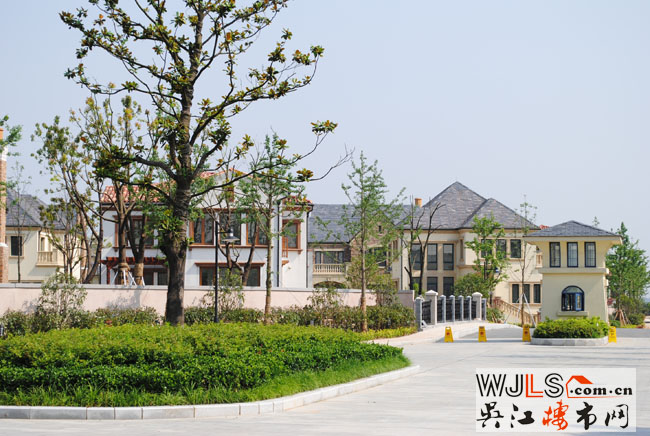 點擊圖片放大 實景圖7