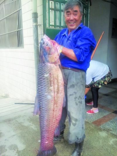 南京六旬老翁放長(zhǎng)線釣上83斤大青魚 魚長(zhǎng)1.4米