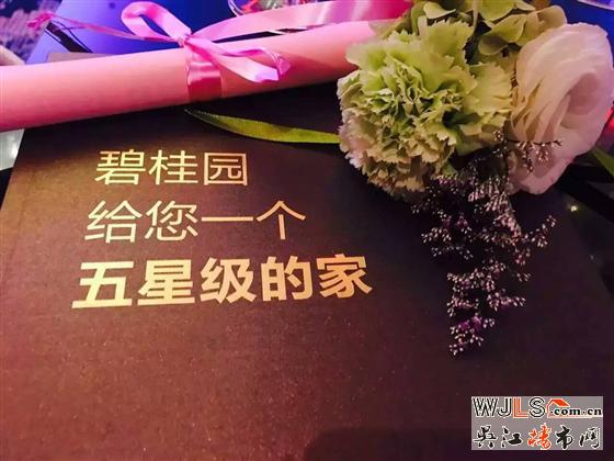 碧桂園進駐盛澤CBD核心區(qū)