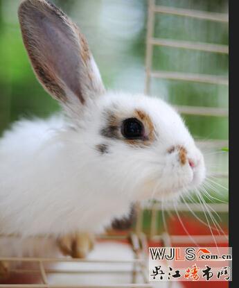 趣玩春天 歡聚在朗詩