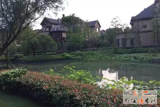 雨后,金科廊橋水岸成吳江一道美麗風(fēng)景線