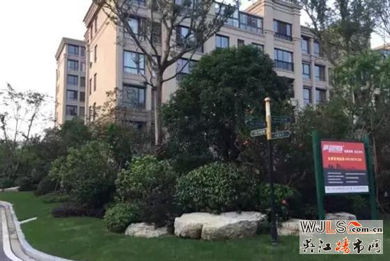 雨后,金科廊橋水岸成吳江一道美麗風(fēng)景線