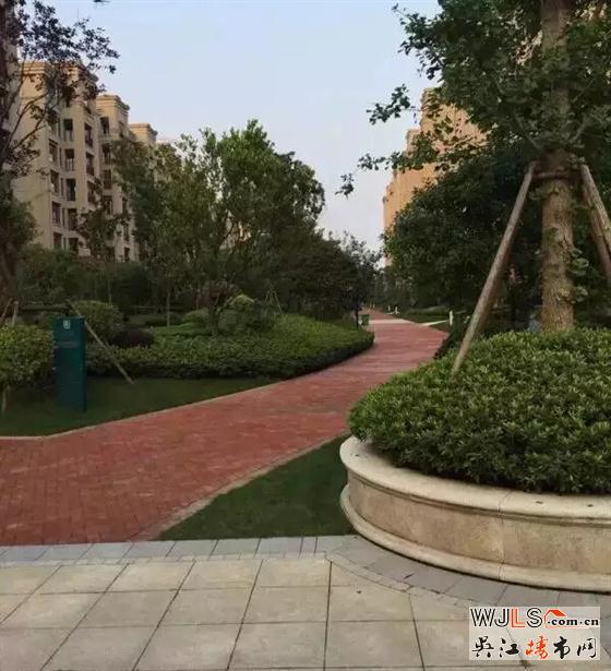 雨后,金科廊橋水岸成吳江一道美麗風(fēng)景線