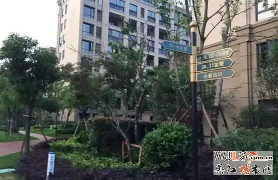 雨后,金科廊橋水岸成吳江一道美麗風(fēng)景線