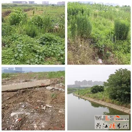 吳江同里出讓3宗相鄰宅地 最高起拍樓面價達8000元/平
