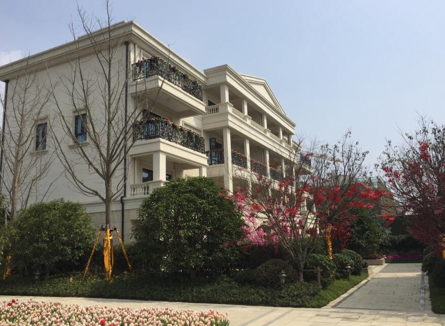 點(diǎn)擊圖片放大 實(shí)景圖1