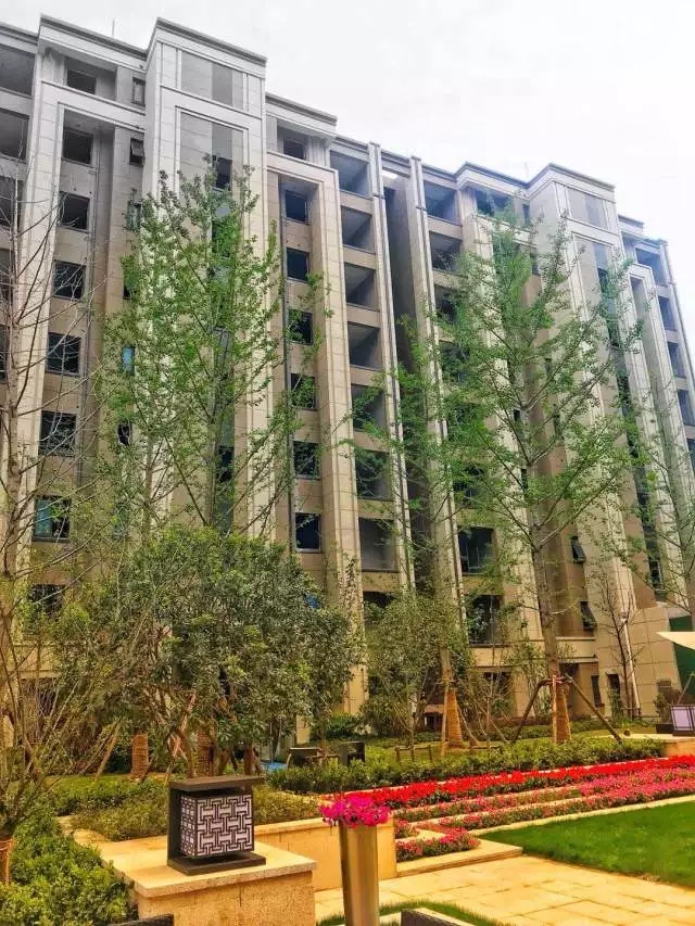 點擊圖片放大 實景